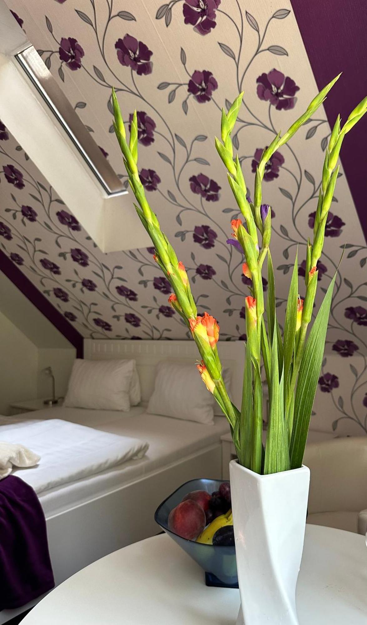 Wellness Penzion Harmonie Rohanov Prachatice Exteriör bild