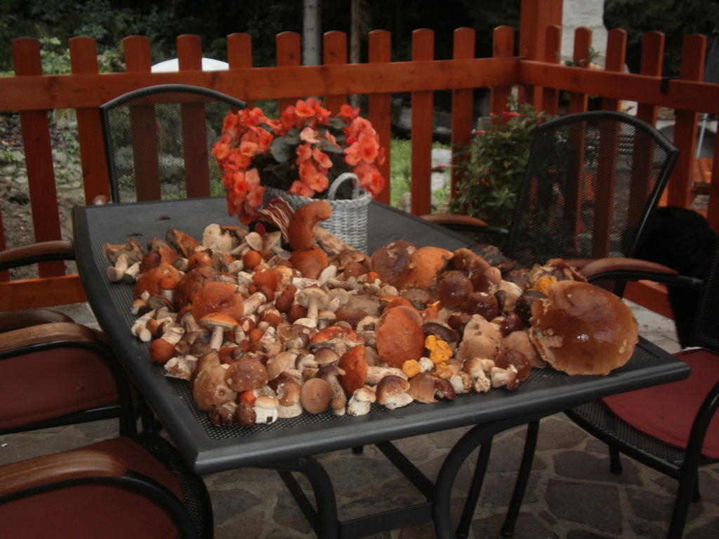 Wellness Penzion Harmonie Rohanov Prachatice Exteriör bild